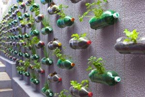 Vertical Herb Garden Using Plastic Bottles.jpg
