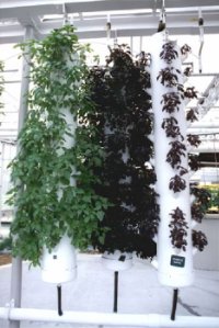 Vertical Hydroponic Herb Garden Design.jpg