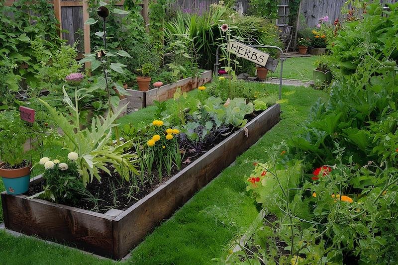 Design A Creative & Attractive Herb Garden With Silver Leaved Herbs