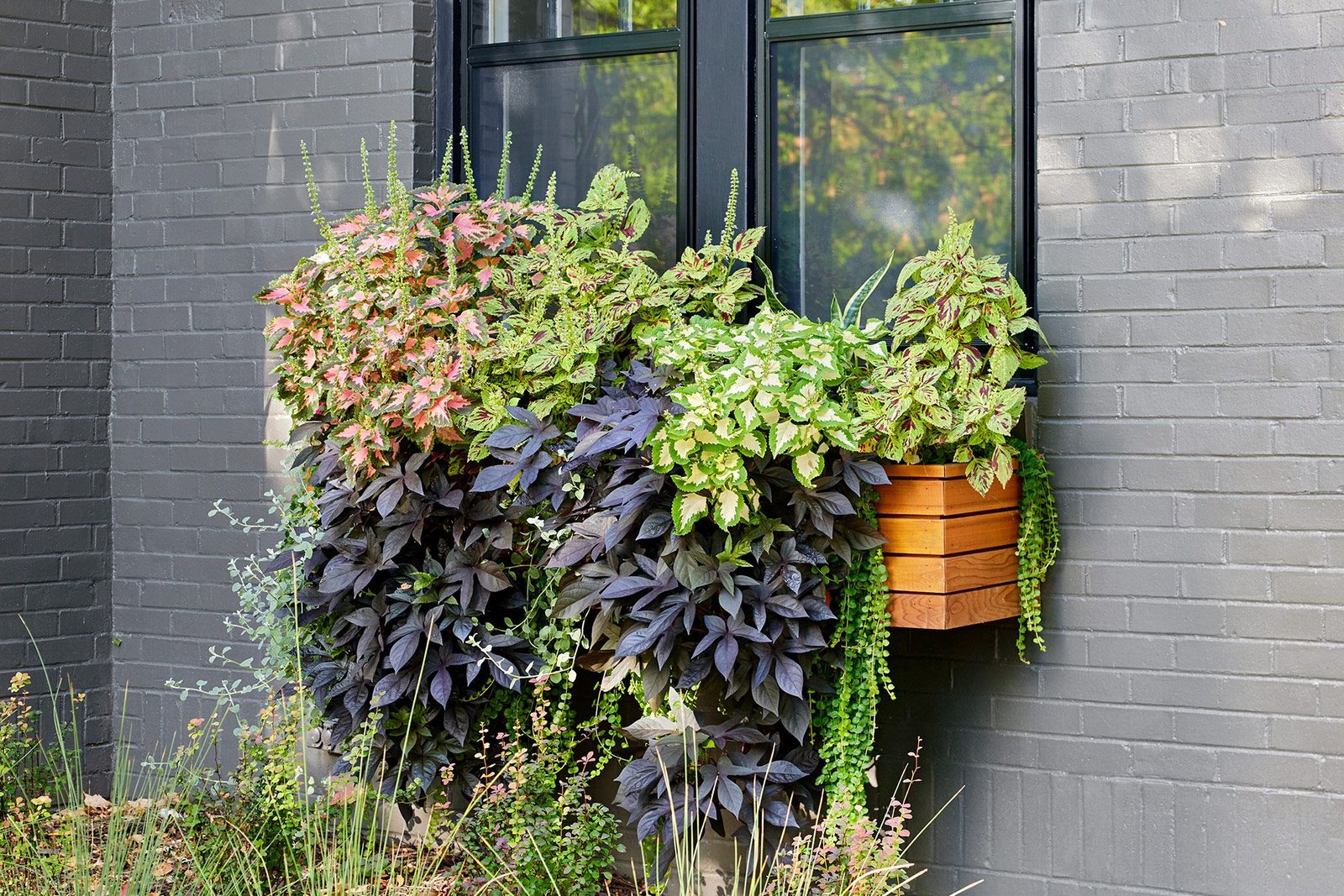 Herb Garden Design Window Planter