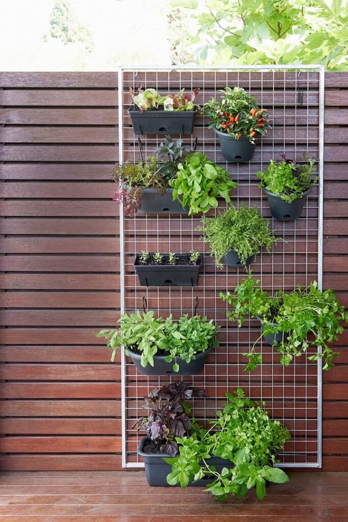 vertical garden outside